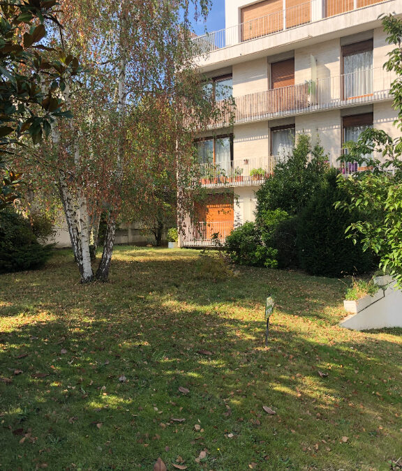 REMISE / CAVE AVEC VASISTAS – 1 PIECE – 16 M²